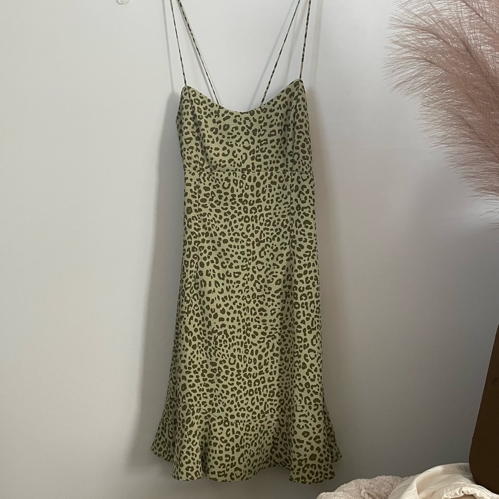 Zara Animal Print Mini Dress